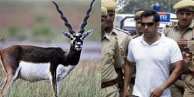 Sidang Salman Khan Terkait Kasus Perburuan Blackbuck Ditunda Lagi