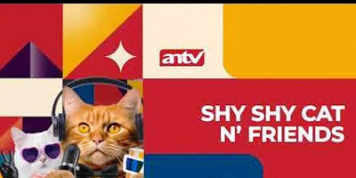 Jadwal Acara VTV Kamis 23 November, Hadirkan Shy Shy Cat yang Siap Menghibur Pemirsa 